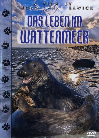 Das Leben im Wattenmeer (2001)