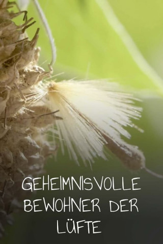 Geheimnisvolle Bewohner der Lüfte (2022)