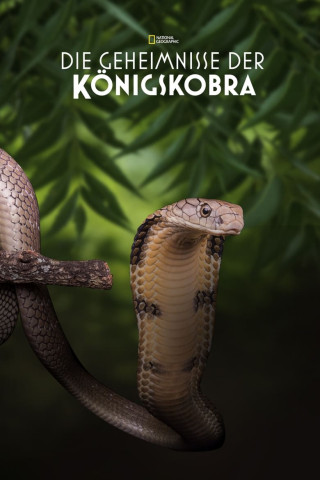 Secrets of the King Cobra (2010)