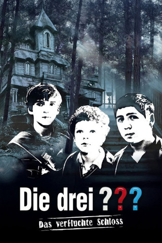Die drei ??? – Das verfluchte Schloss (2009)