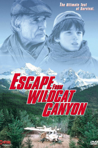 Im Tal der Wildkatzen (1998)