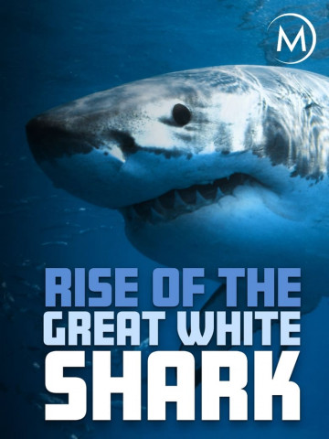 Rise Of The Great White Shark (2017)