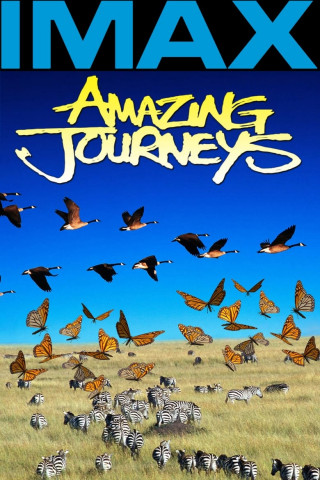 Amazing Journeys - Wunderbare Welten (1999)
