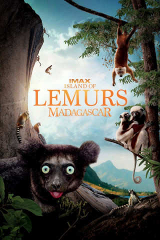 Wildes Madagaskar - Die Insel der Lemuren (2014)