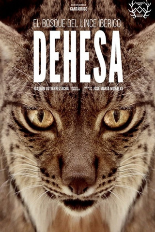 Dehesa: Spaniens Serengeti (2020)