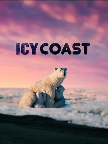 Icy Coasts (2020)