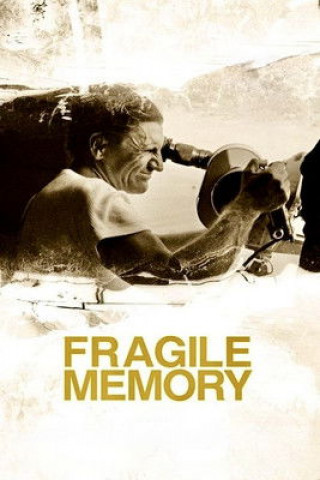 Fragile memory (2022)
