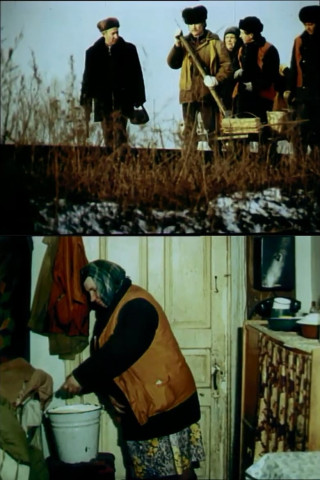 The Cold Light of Day (2012)