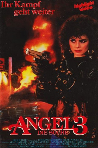 Angel 3 - Die Suche (1988)