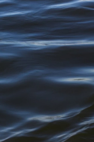 The Flood - Melodie der Rache (2020)