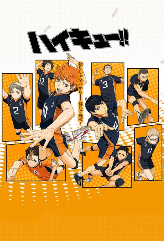 Haikyu!! (2014)