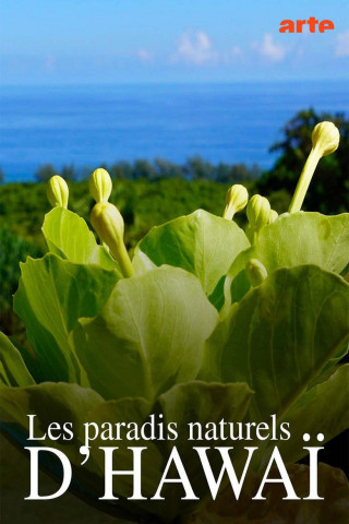 Hawaiis versteckte Paradiese (2022)