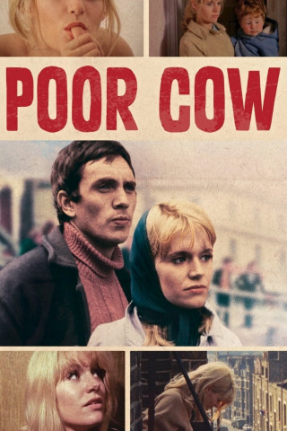 Poor Cow - geküßt und geschlagen (1967)