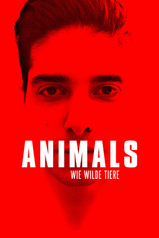 Animals: Wie wilde Tiere (2022)