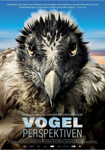 Vogelperspektiven (2022)