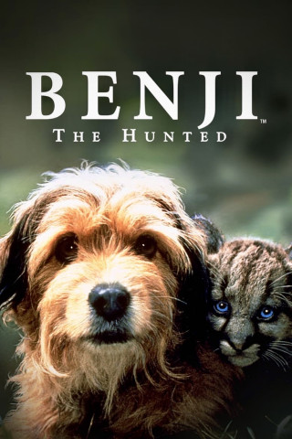 Benji, sein größtes Abenteuer (1987)