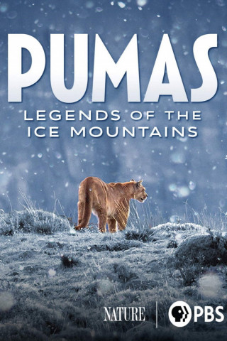 Pumas - Legenden der Anden (2020)