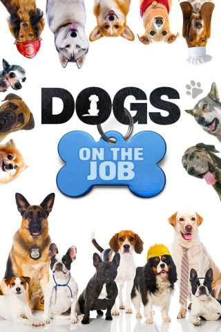 Dogs On the Job (2019)