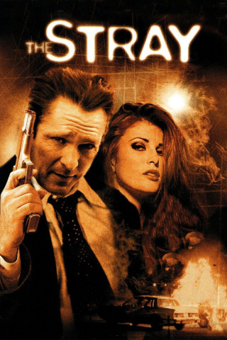 The Stray - Der Racheengel (2000)