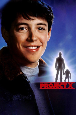 Projekt X (1987)
