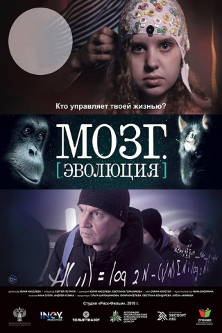 Brain.Evolution (2019)