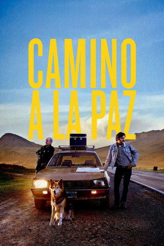 Camino a la paz (2015)