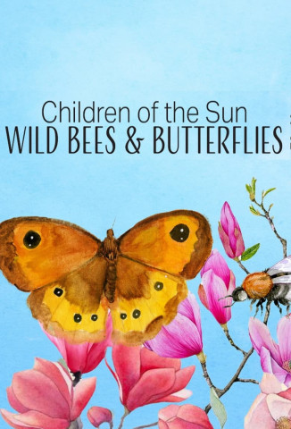 Children of the Sun - Wild Bees & Butterflies (2017)