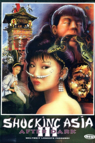 Shocking Asia III - After Dark (1995)