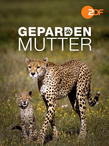 Gepardenmutter (2013)