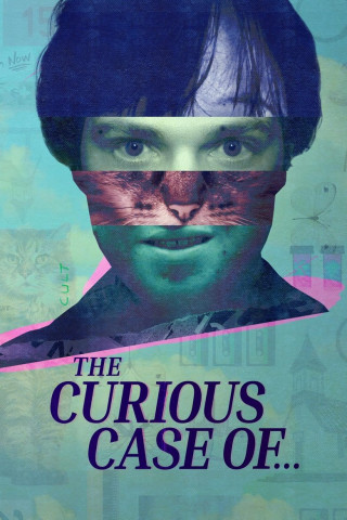 The Curious Case of... (2025)