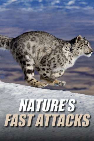 Nature's Fast Attacks (2022)