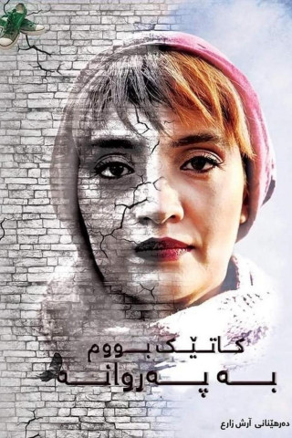 Vaghti parvaneh shodam (2018)