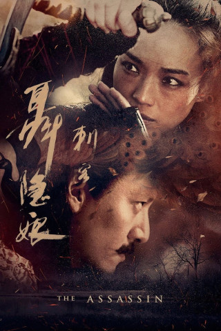 The Assassin (2015)