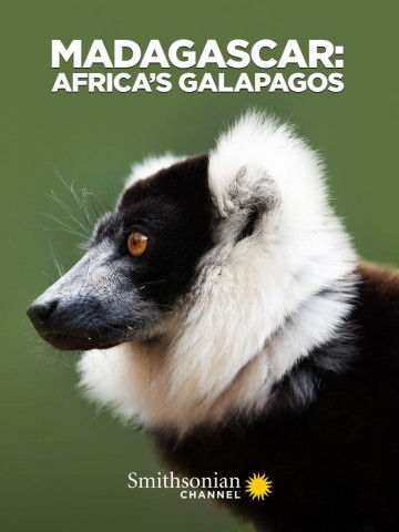 Die wunderliche Welt von Madagaskar (2019)