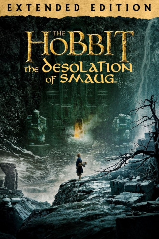 The Hobbit: The Desolation of Smaug (Extended Edition) (2013)