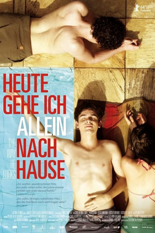 Heute gehe ich allein nach Hause (2014)