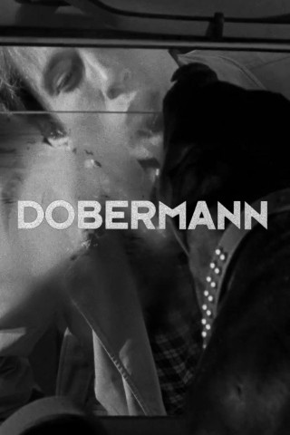Dobermann (1999)