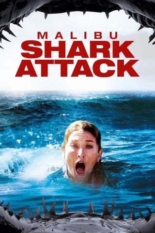 Shark Attack - Sie lauern in der Tiefe! (2009)