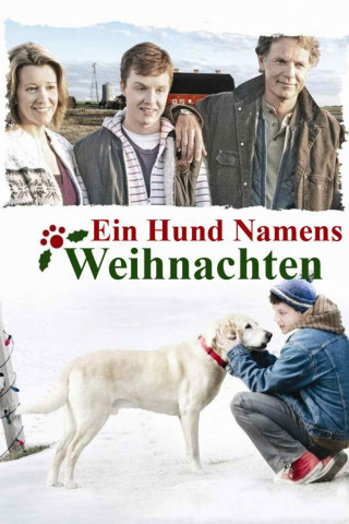Ein Hund namens Weihnachten (2009)