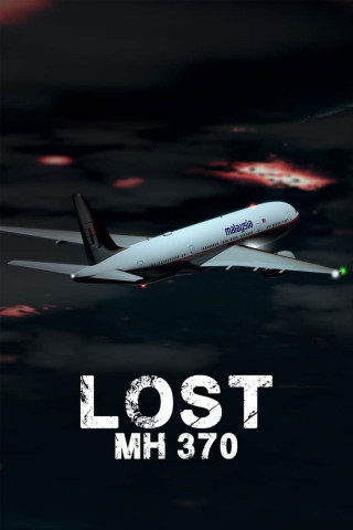 Lost: MH 370 (2014)