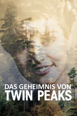 Das Geheimnis von Twin Peaks (1990)