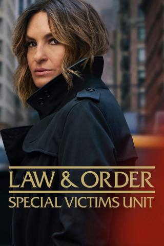 Law & Order: New York (1999)