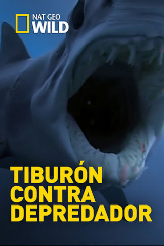 Shark vs Predator (2017)