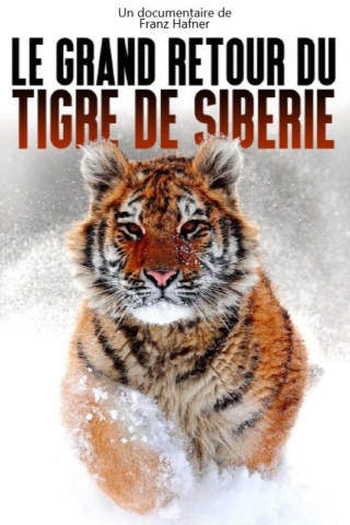 Der Sibirische Tiger - Seele der russischen Wildnis (2021)