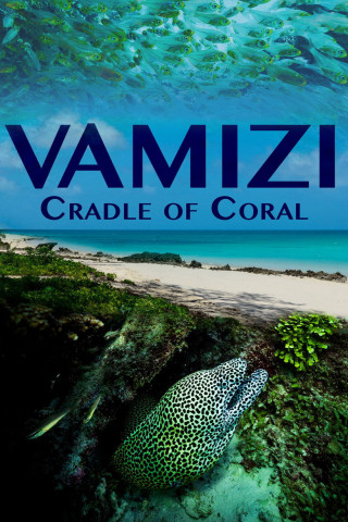 Vamizi - Artenreiches Korallenriff vor Ostafrikas Küste (2016)