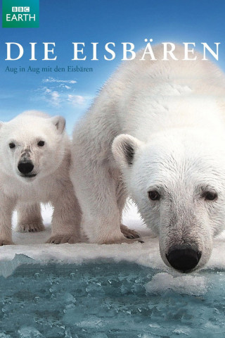 Die Eisbären - Aug In Aug Mit Den Eisbären (2011)