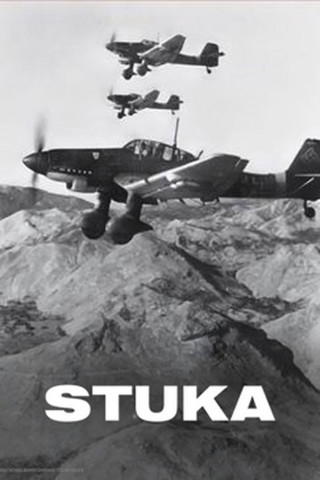 Stuka JU 87 (1999)