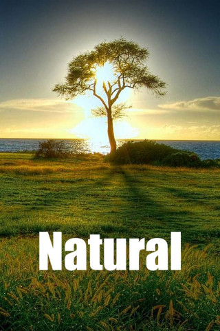Natural (2020)