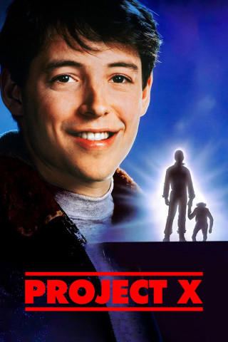 Projekt X (1987)