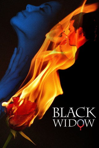 Black Widow - Tödliche Verführung (2008)
